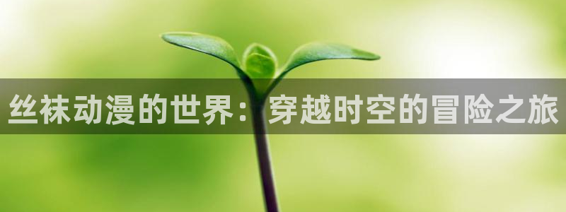 age动漫网：丝袜动漫的世界：穿越时空的冒险之旅