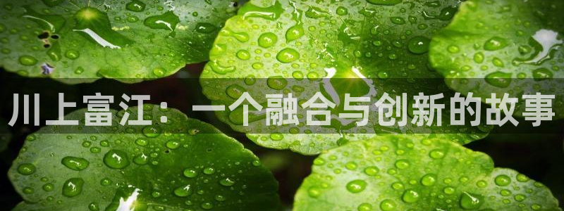 age动漫网：川上富江：一个融合与创新的故事