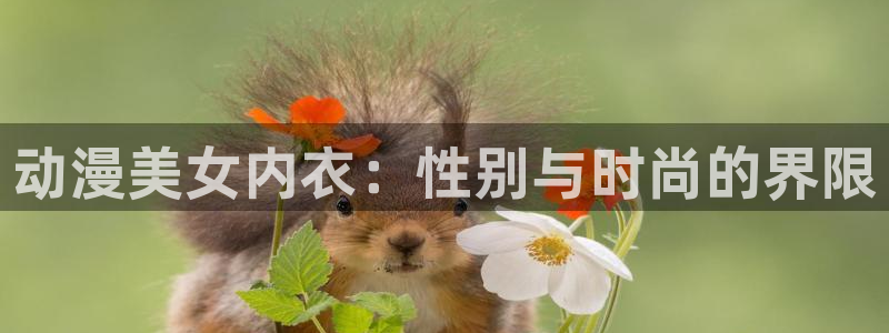 age动漫官网入口老版本