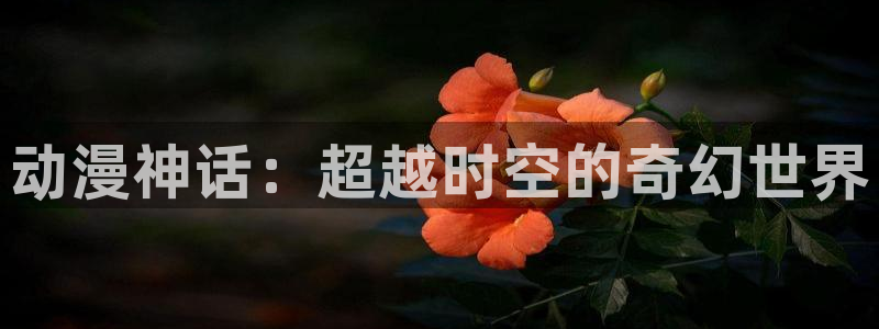 下载age动漫