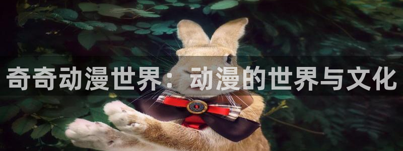 age动漫