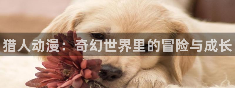 age动漫网下载