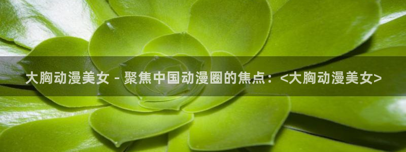 age动漫专注动漫的门户网站
