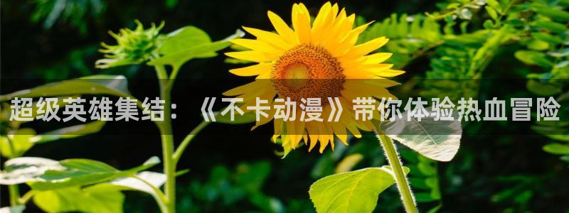 age动漫樱花：超级英雄集结：《不卡动漫》带你体验热血冒险