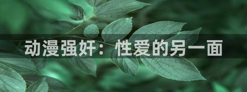 age动漫官网网址：动漫强奸：性爱的另一面