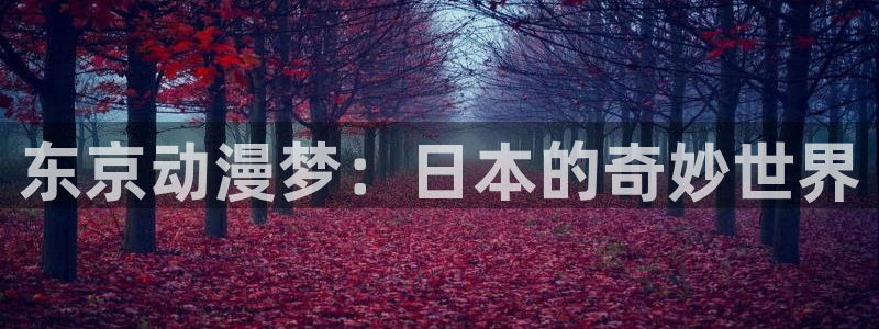 age动漫官网入口老版本：东京动漫梦：日本的奇妙世界
