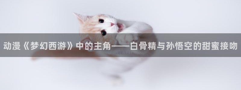 age动漫官网樱花动漫：动漫《梦幻西游》中的主角——白骨精与孙悟空的甜蜜接吻