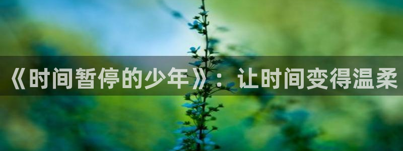 age动漫：《时间暂停的少年》：让时间变得温柔