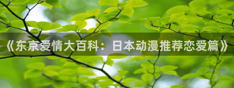 age动漫官网入口老版本：《东京爱情大百科：日本动漫推荐恋爱篇》