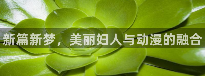 age动漫网下载：新篇新梦，美丽妇人与动漫的融合