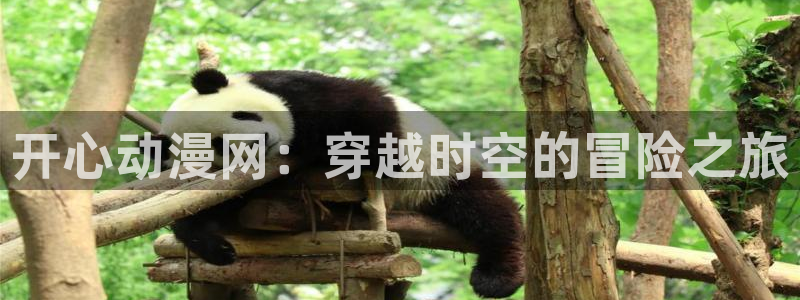 age樱花动漫：开心动漫网：穿越时空的冒险之旅