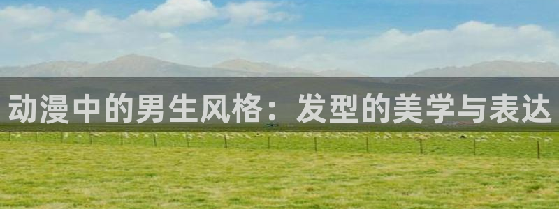 age动漫网上看：动漫中的男生风格：发型的美学与表达