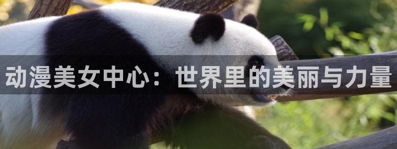 下载age动漫：动漫美女中心：世界里的美丽与力量