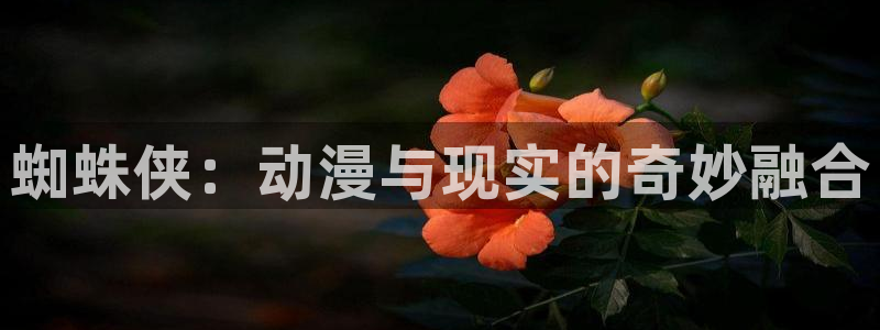 age动漫下载入口：蜘蛛侠：动漫与现实的奇妙融合