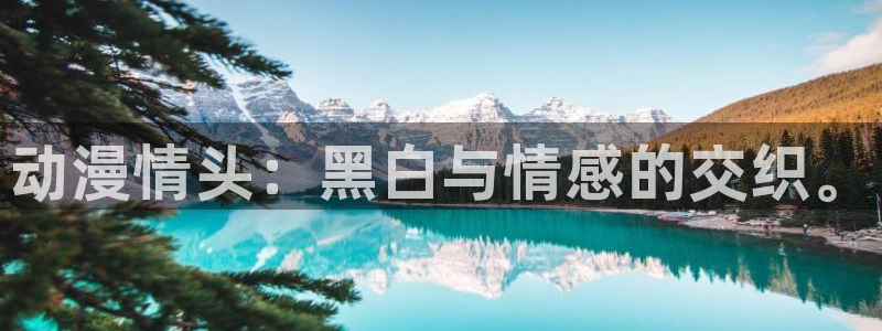 age动漫专注动漫的门户网站：动漫情头：黑白与情感的交织。