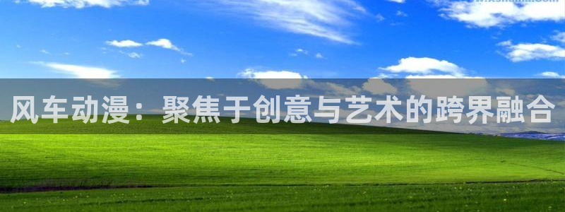 age漫画网：风车动漫：聚焦于创意与艺术的跨界融合