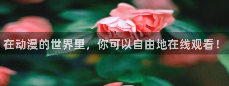 kakaopage韩漫官网