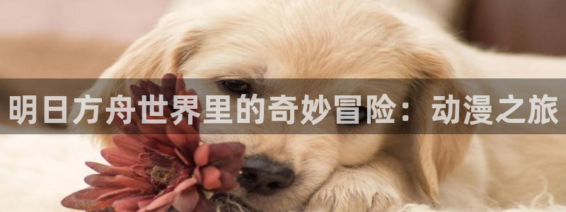韩国漫画平台kakaopage：明日方舟世界里的奇妙冒险：动漫之旅