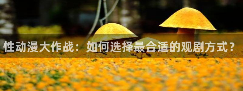韩国漫画平台kakaopage：性动漫大作战：如何选择最合适的观剧方式？