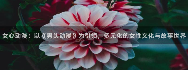 下载age动漫：女心动漫：以《男头动漫》为引领，多元化的女性文化与故事世界