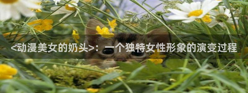 age动漫下载动漫全免费：<动漫美女的奶头>：一个独特女性形象的演变过程