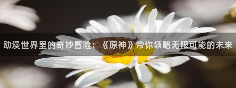 age动漫下载入口：动漫世界里的奇妙冒险：《原神》带你领略无限可能的未来