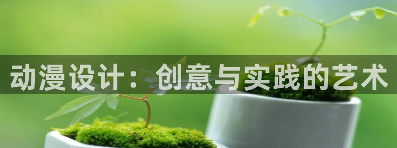 age动漫官网版入口：动漫设计：创意与实践的艺术