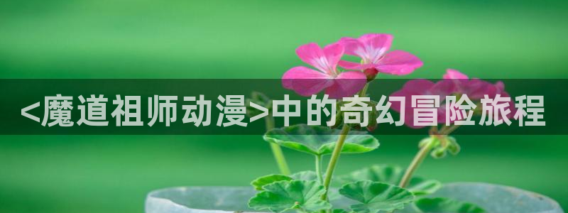 age动漫官网在线入口：<魔道祖师动漫>中的奇幻冒险旅程