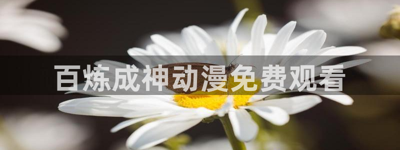 managereader漫画官网入口：百炼成神动漫免费观看