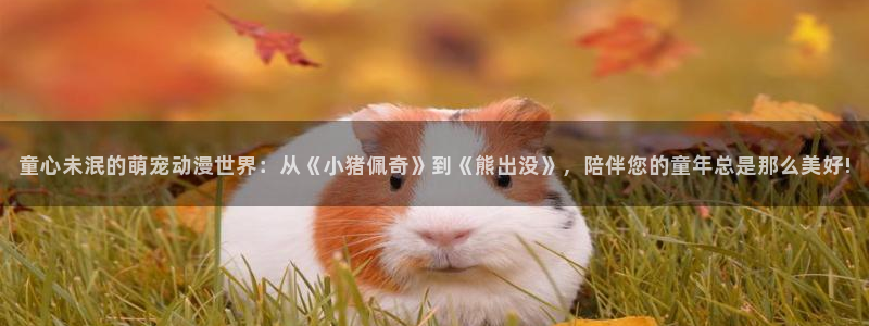age动漫正版网