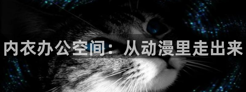 age动漫官网樱花动漫：内衣办公空间：从动漫里走出来