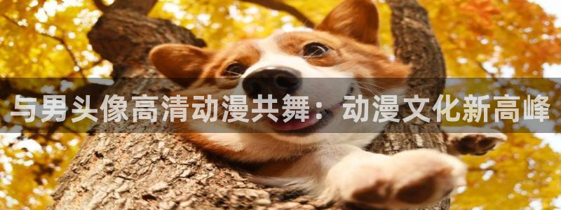 age漫画网