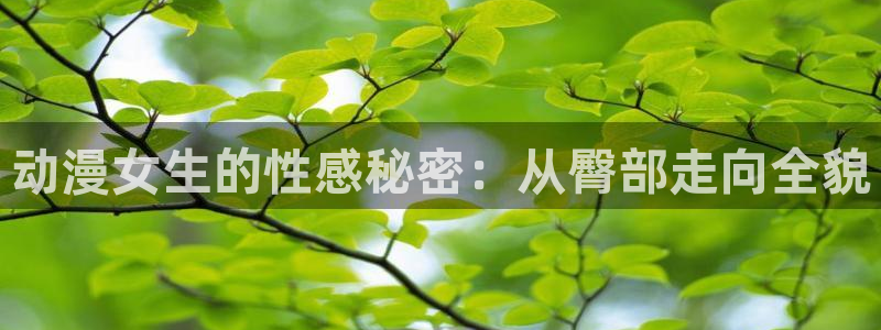 在线动画动漫下载age动漫：动漫女生的性感秘密：从臀部走向全貌
