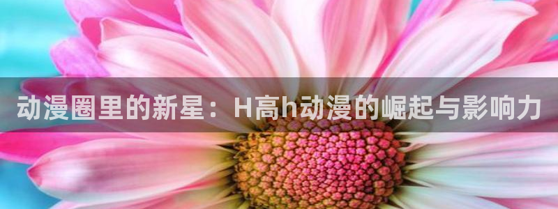 age专注动漫的门户网站：动漫圈里的新星：H高h动漫的崛起与影响力