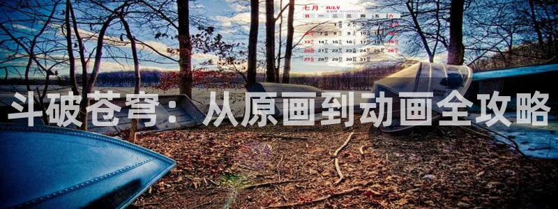 colomanage漫画官网：斗破苍穹：从原画到动画全攻略