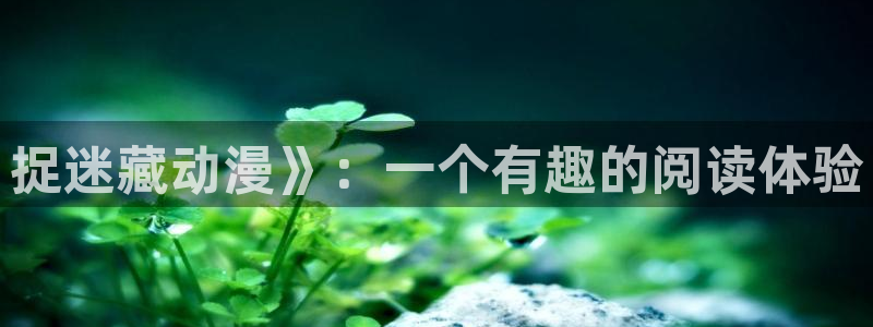 age动漫正版网：捉迷藏动漫》：一个有趣的阅读体验