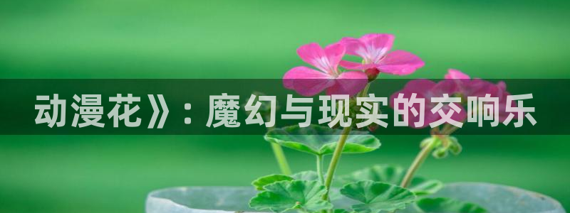 colamanage漫画：动漫花》: 魔幻与现实的交响乐