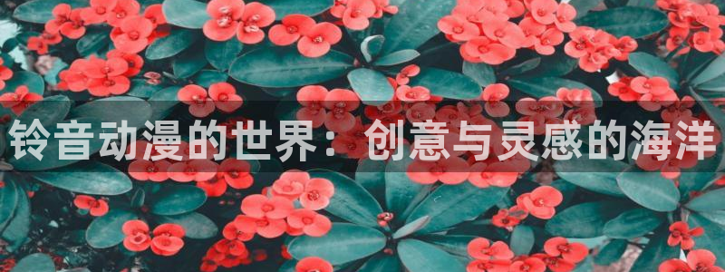 age动漫正版网：铃音动漫的世界：创意与灵感的海洋