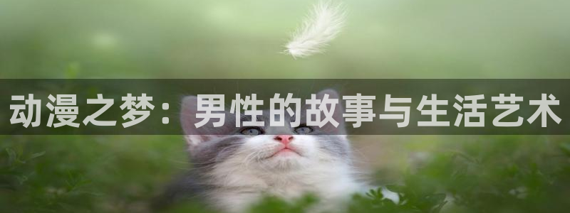 age动漫下载：动漫之梦：男性的故事与生活艺术