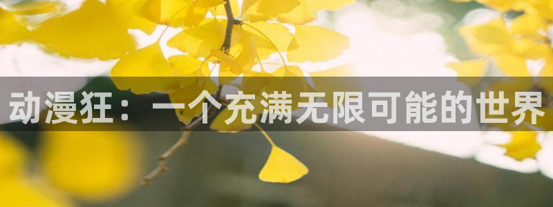 age动漫官网樱花动漫：动漫狂：一个充满无限可能的世界