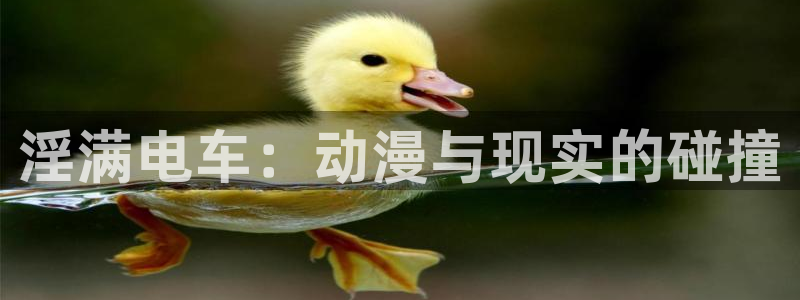 age动漫网下载