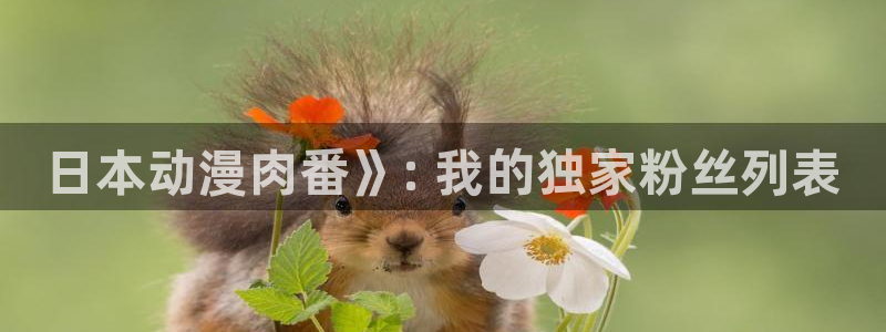 下载age动漫：日本动漫肉番》: 我的独家粉丝列表