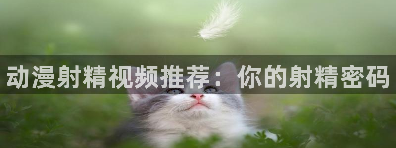 拷贝漫画 copymanager.ory网站