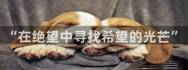 colamanage漫画官网