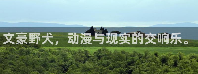 age动漫正版网：文豪野犬，动漫与现实的交响乐。