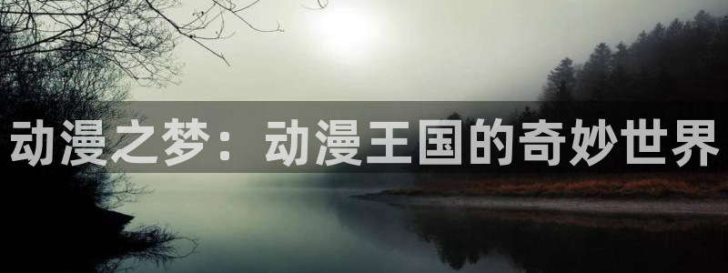 age漫画网：动漫之梦：动漫王国的奇妙世界