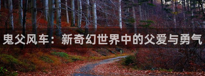 age动漫专注动漫的门户网站：鬼父风车：新奇幻世界中的父爱与勇气