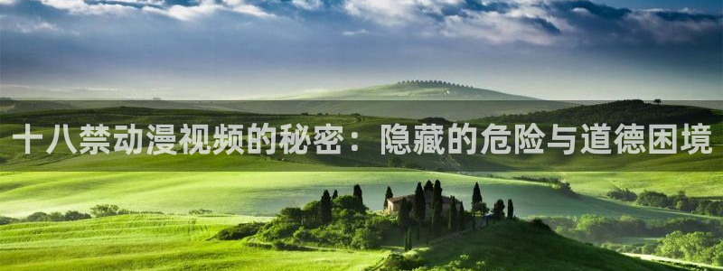 age动漫网官网入口：十八禁动漫视频的秘密：隐藏的危险与道德困境