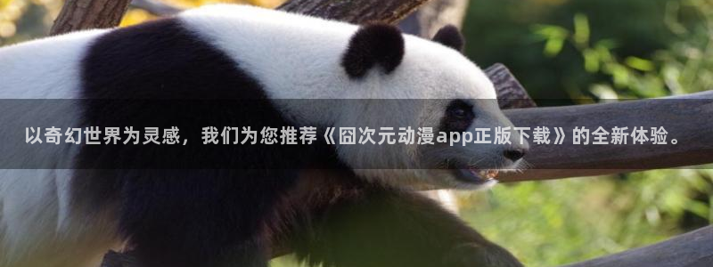 age动漫omofun：以奇幻世界为灵感，我们为您推荐《囧次元动漫app正版下载》的全新体验。