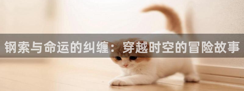 韩国漫画平台kakaopage：钢索与命运的纠缠：穿越时空的冒险故事